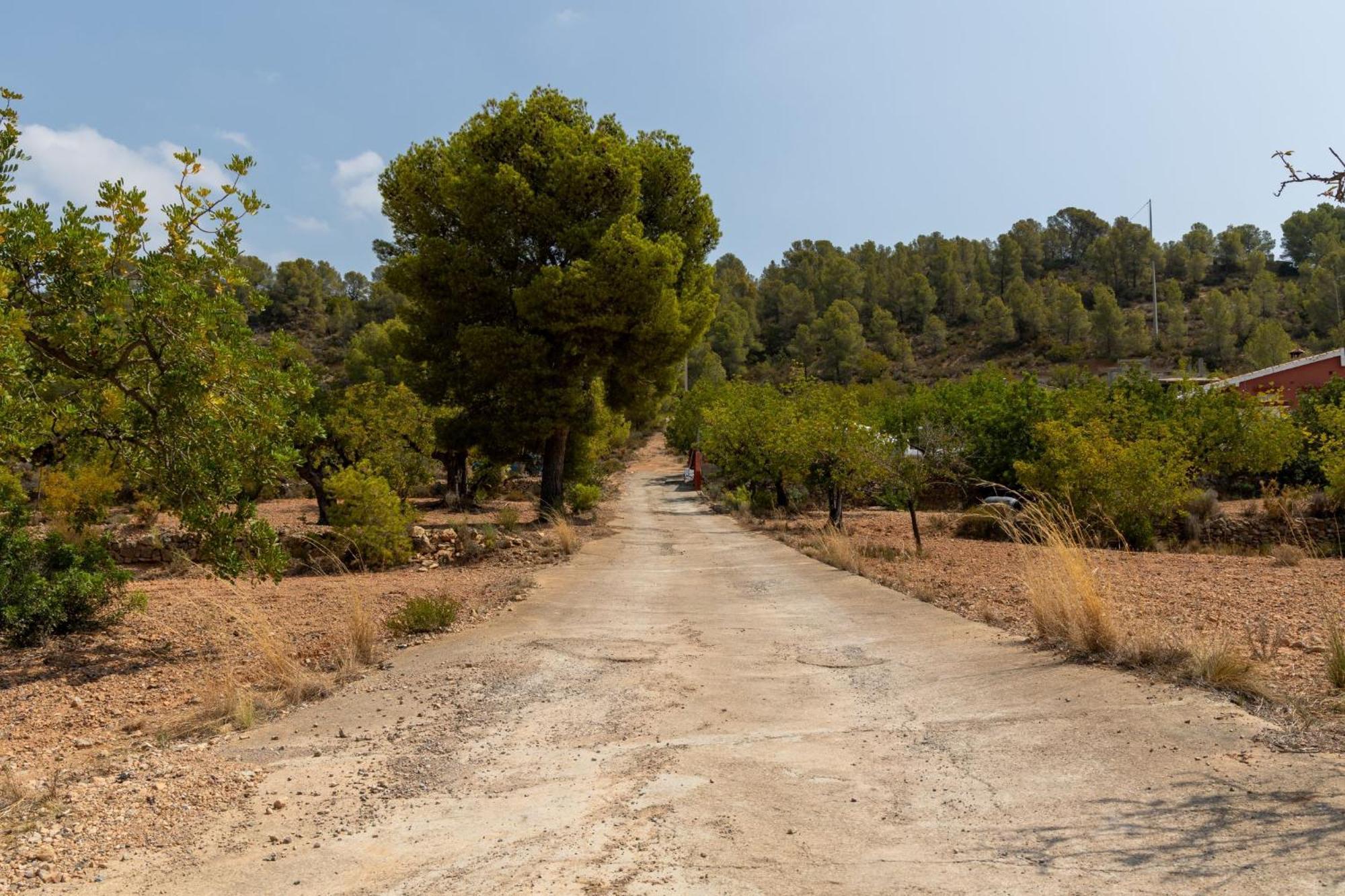 Finca El Escondite Olocau Екстер'єр фото