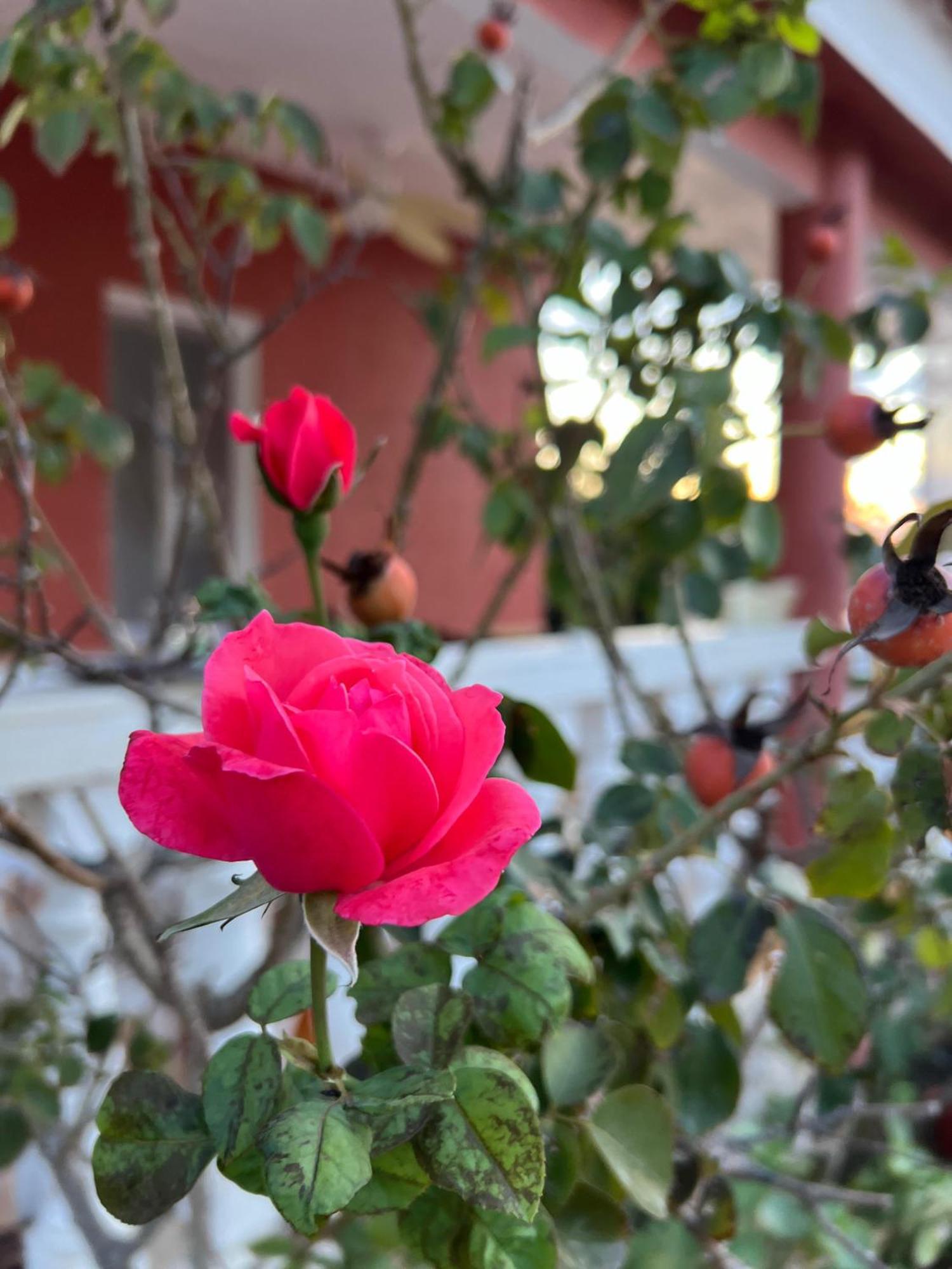 Finca El Escondite Olocau Екстер'єр фото